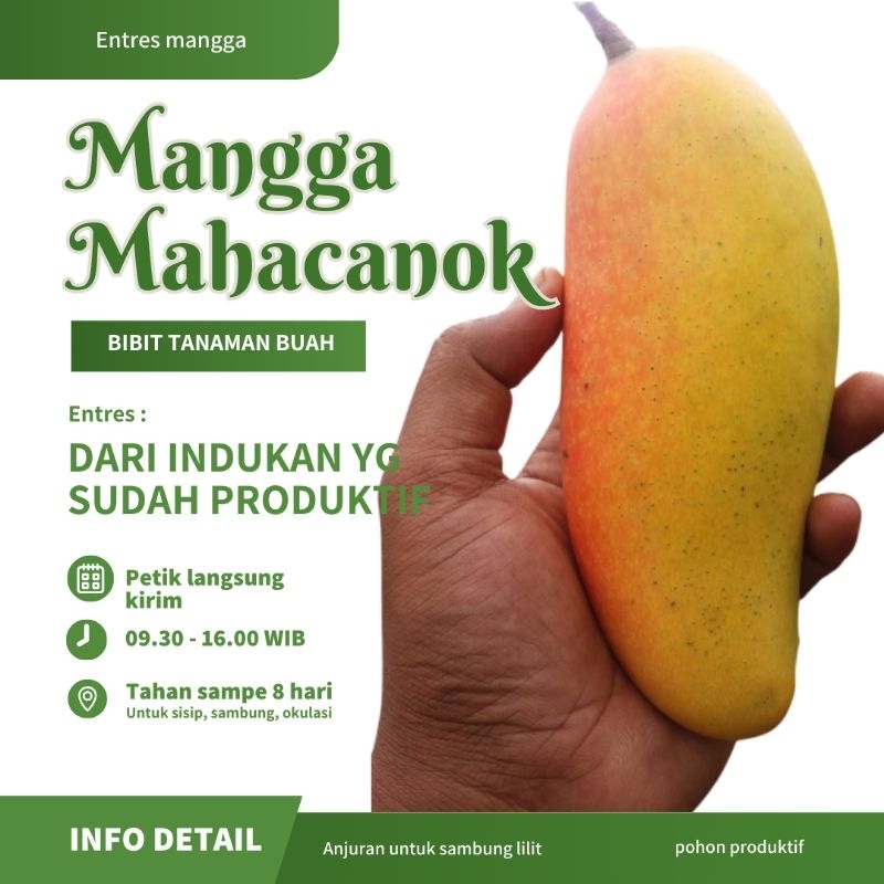 ENTRES MANGGA MAHACANOK