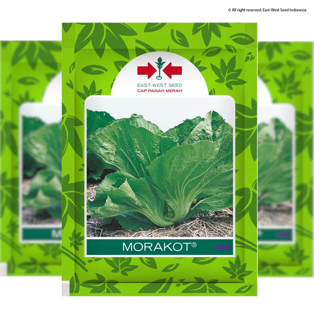 CAP PANAH MERAH -  20 GRAM BENIH SAWI PAHIT MORAKOT