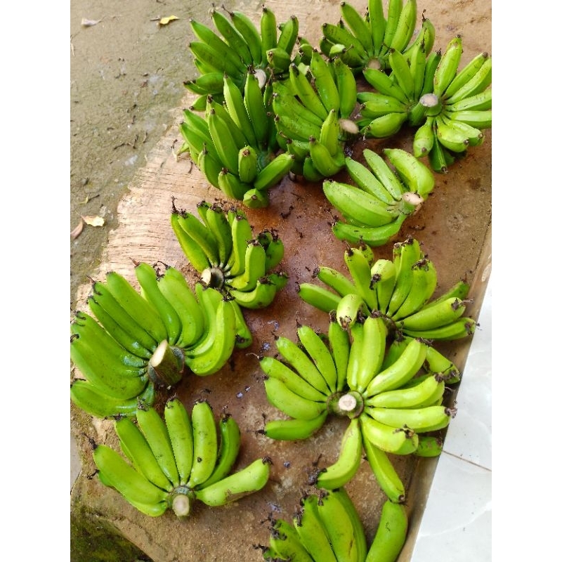 

pisang - pisang mentah - pisang ambon - pisang raja betawi - pisang tanduk - pisang kapas - pisang ambyang - pisang ijo - pisang buah - pisang rebus - pisang goreng - pisang raja