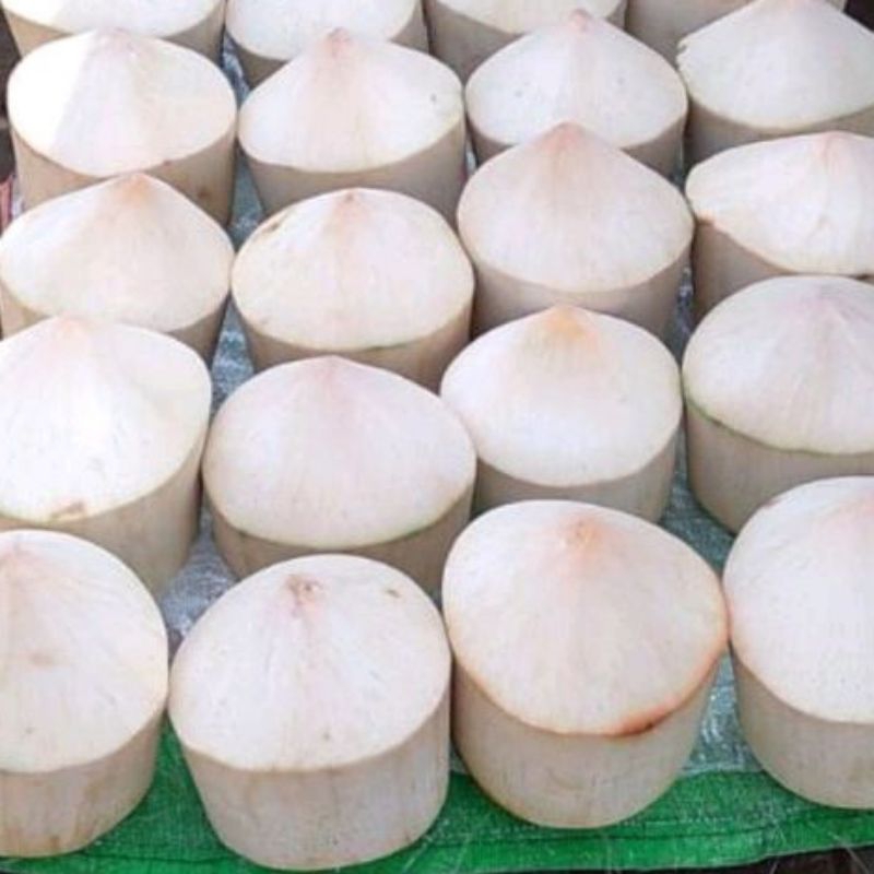 

GROSIR Kelapa Muda Kupas 1 Butir Kualitas A Fresh khusus Instan