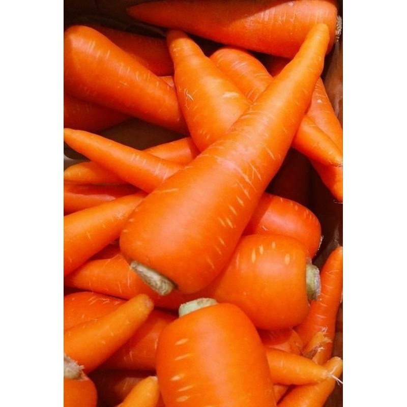 

wortel segar fresh 250gr, 500gr, 1kg