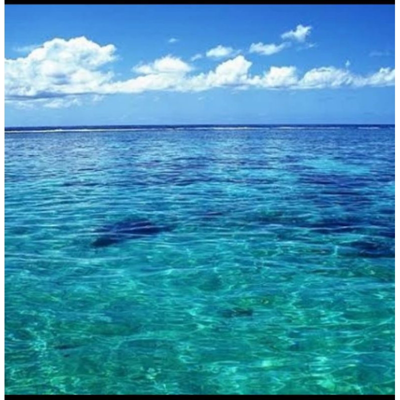 

air laut asli pantai selatan (per 1 liter)