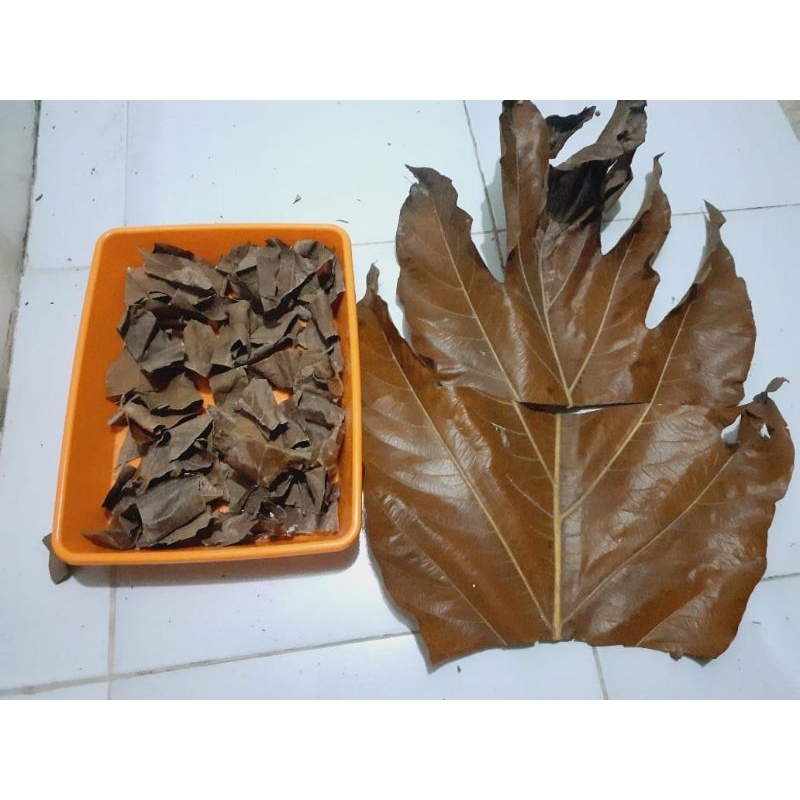 

Daun sukun kering berat 500gram