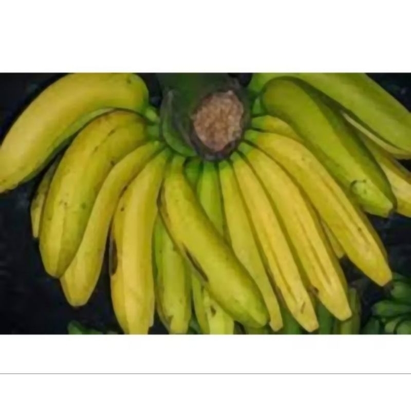 

Pisang Ambon 1 kg