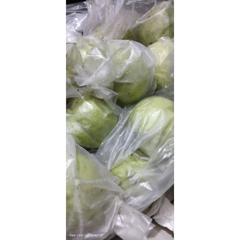

JAMBU KRISTAL