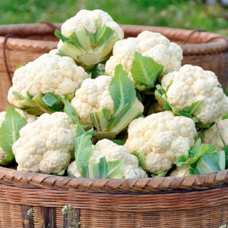

kembang kol 1 buah