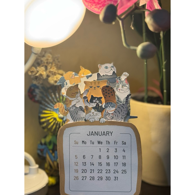 

Cats Kalender 2025 - Kalender Meja 2025