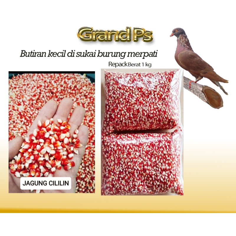Jagung  Premium Munri Kecil Bersih repack 1 kg Pakan Merpati Jagung Merpati kolong Jagung Merpati Ti