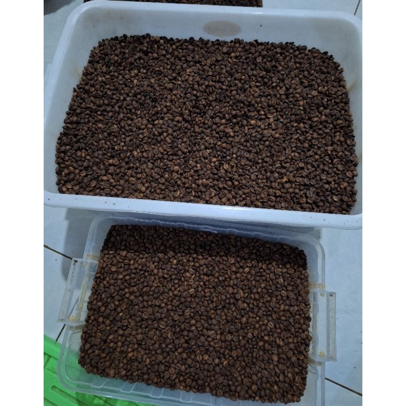 

ROASTED BEANS ROBUSTA BATANG JAWA TENGAH 1 KG