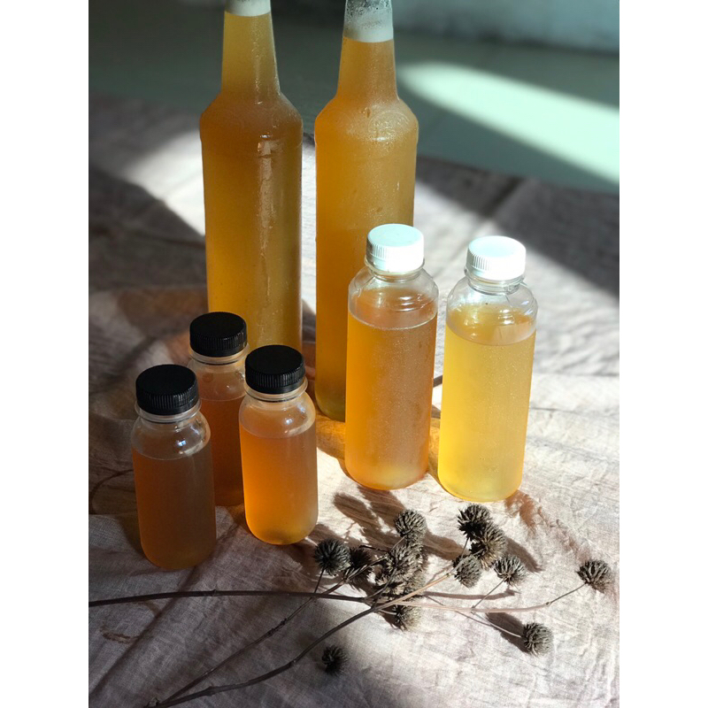 

Madu Kelulut/Klanceng
