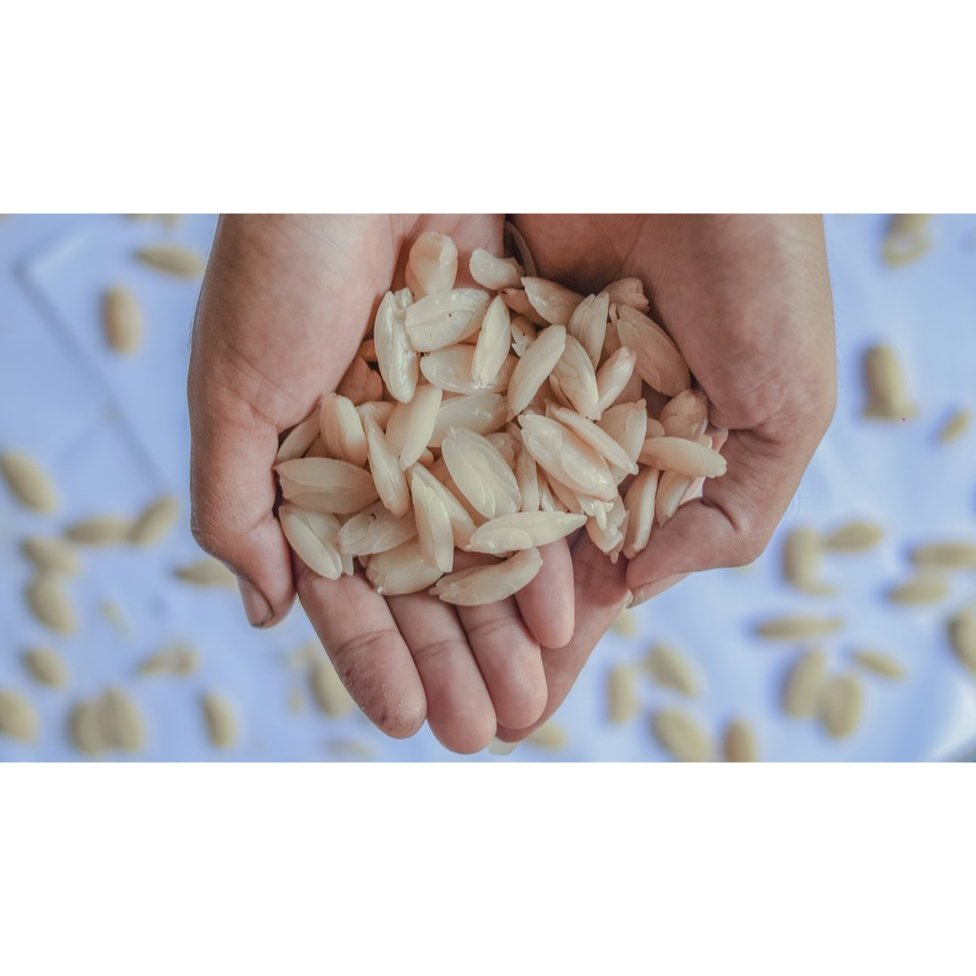 

Kacang Kenari Mentah - Raw Pili Nuts Premium Quality Repack