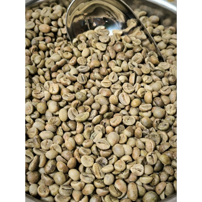 

Green Bean Kopi Fine Robusta Lampung Barat Natural Proses