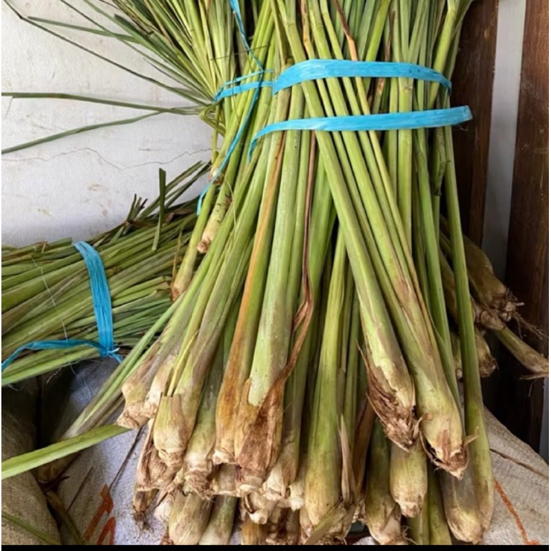 

sereh jumbo pres 1kg