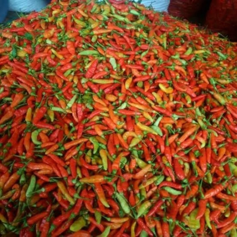 

Cabai Rawit Merah 250gr