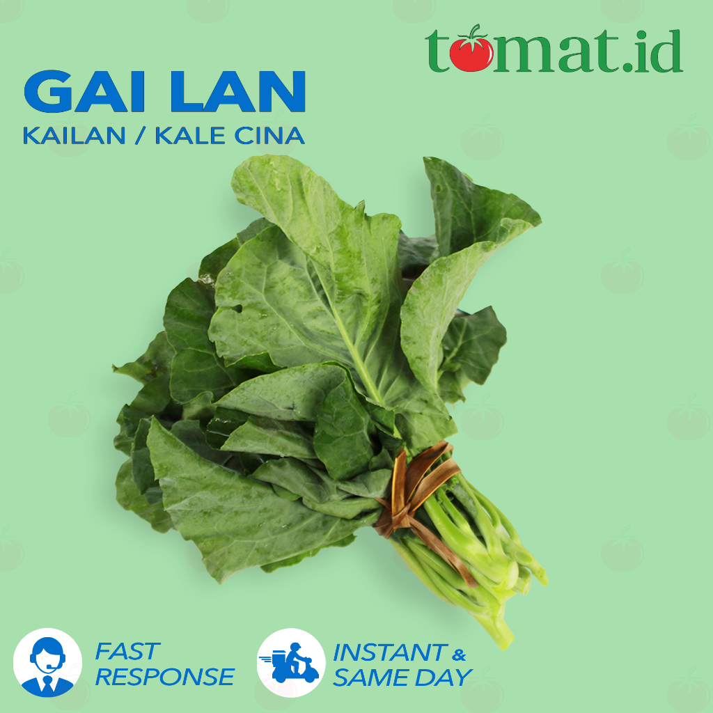 

Kailan / Kaylan / Kale Cina