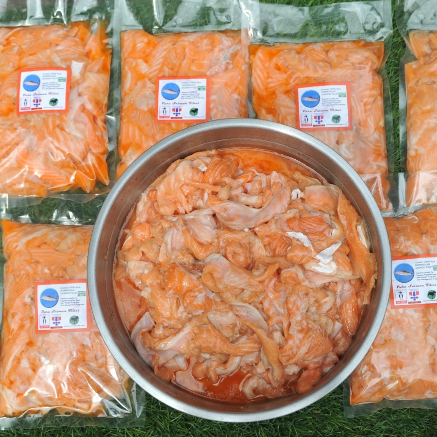 Norway Salmon Fillet / Dog Cat Raw Food Ikan Salmon Norwegia Makanan Anjing Kucing