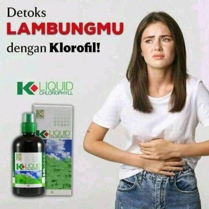 k liquid chlorophyl klorofil k link