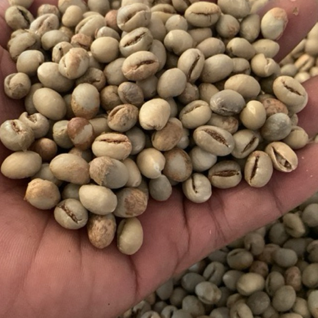 

Kopi Lanang Green Bean Temanggung 1kg
