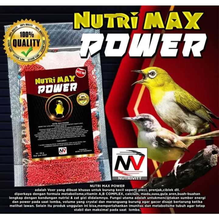 Nutri Max Power Voer Burung Pleci menciptakan sumber energi power volume yang mengkristal gacor
