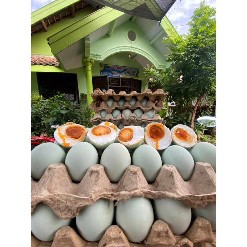 

Telur Asin Omega//Telur Asin Masir Gempol Pasuruan//Telur Asin kang Falah//Isi 10 butir
