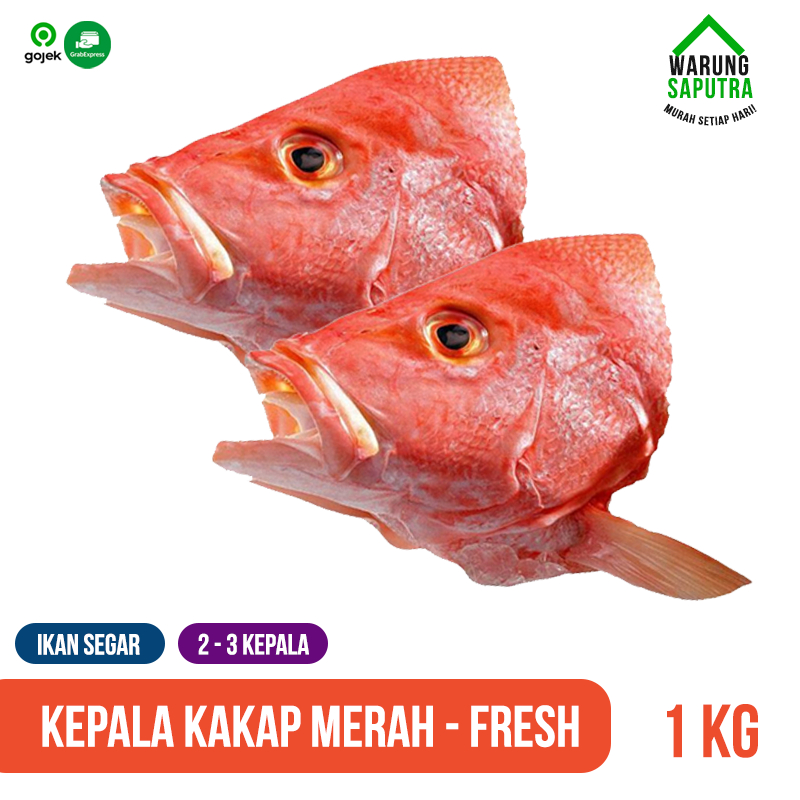 Kepala Kakap Merah Besar Segar 1 kg