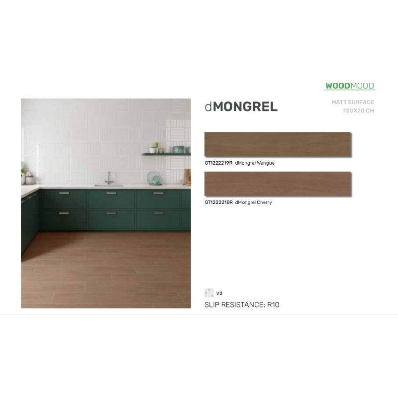 Roman Granit dMongrel 120x20 granit motif kayu indoor outdoor matt surface