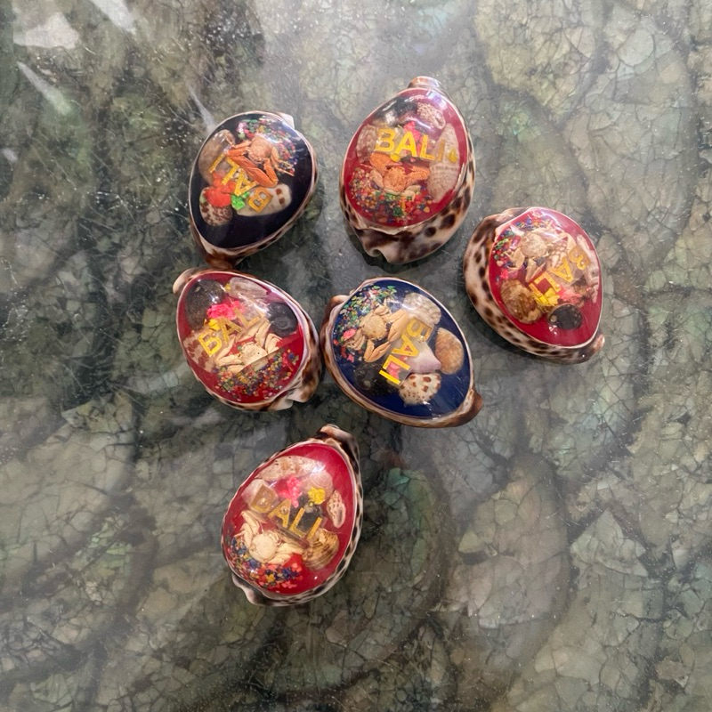 (FLASH SALE Per Item) Shells decoration - Dekorasi kerang - Kerang laut - Kerajinan kerang
