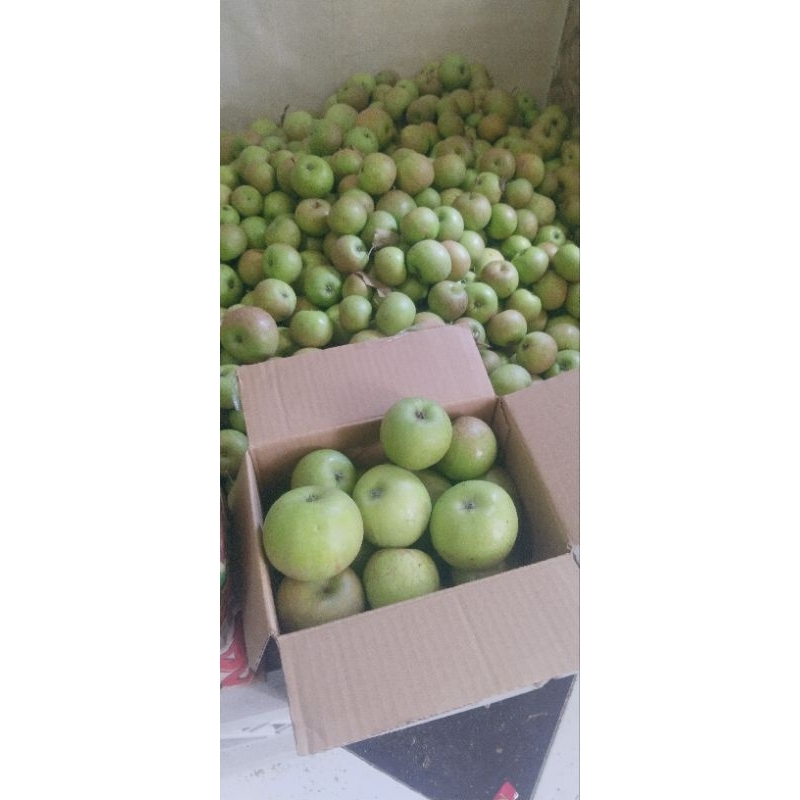 

apel MANALAGI CHERRY (mini) 1 kg - apel batu malang - apel madu - apel fresh petik pohon