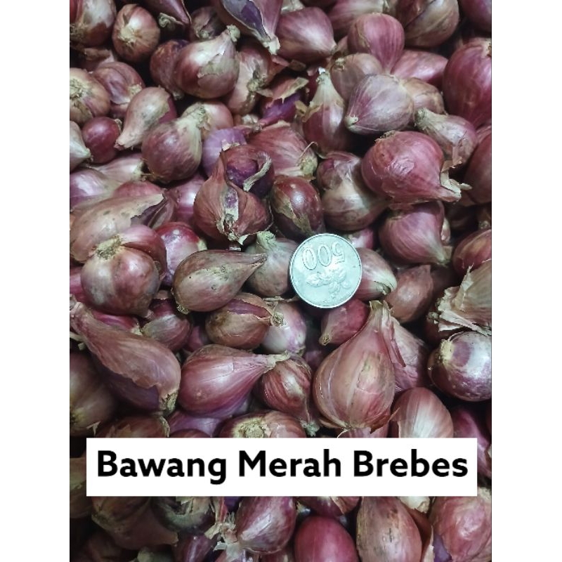 

BAWANG MERAH BREBES 500GRAM