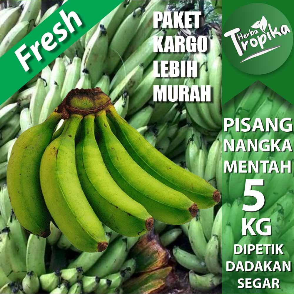 

Paket Kargo Pisang Nangka Mentah 5 kg Fresh toko herba tropika