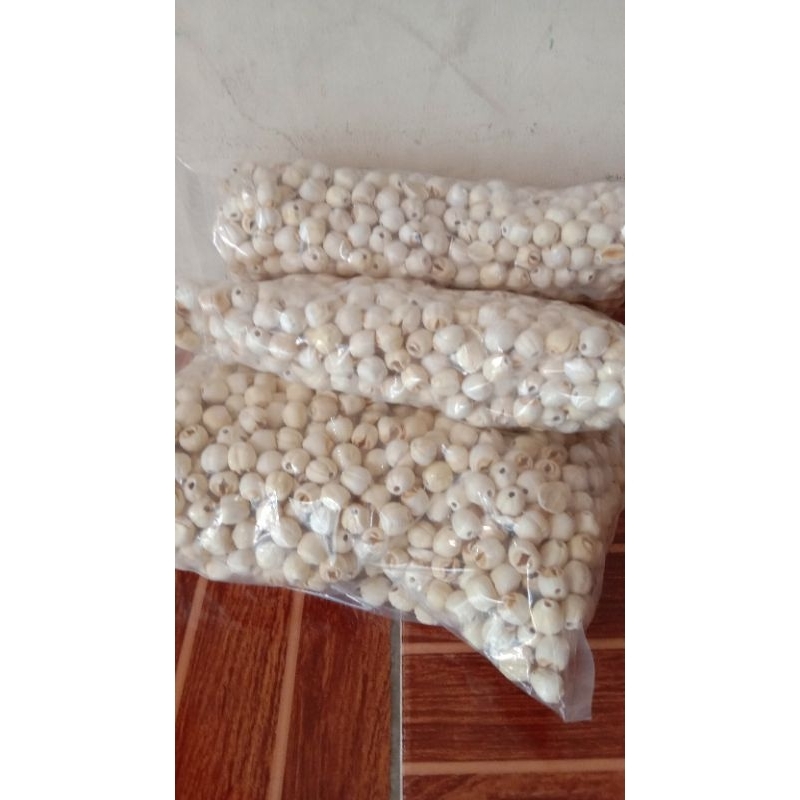 

lenci/ biji teratai lotus