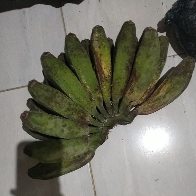 

pisang kampung