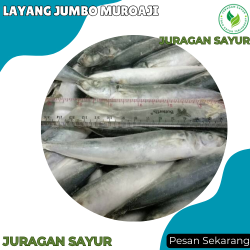 

Ikan Layang Jumbo 1 kg - Ikan layang Jumbo Muroaji Segar - Juragan Sayur