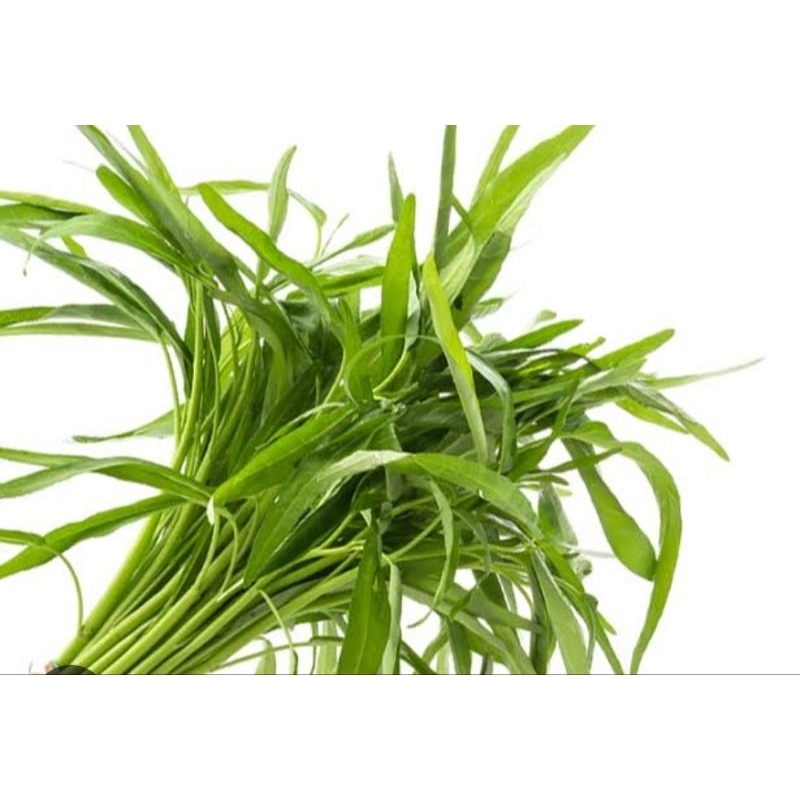 

kangkung 1 ikat