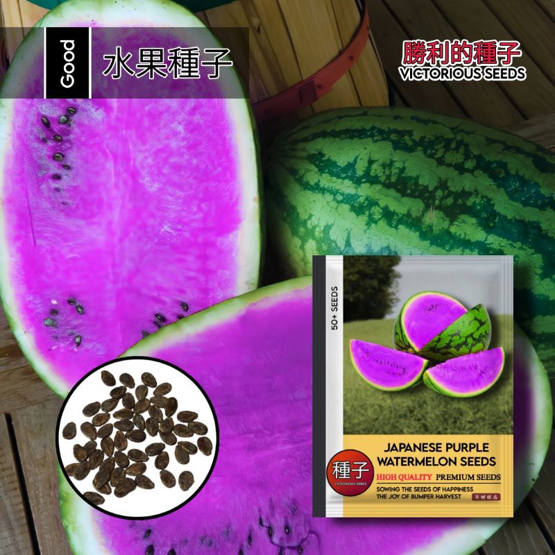 1 Pack (50 Butir) Semangka Ungu Varietas Original F1 Kemasan Import / Benih Semangka / Biji Semangka