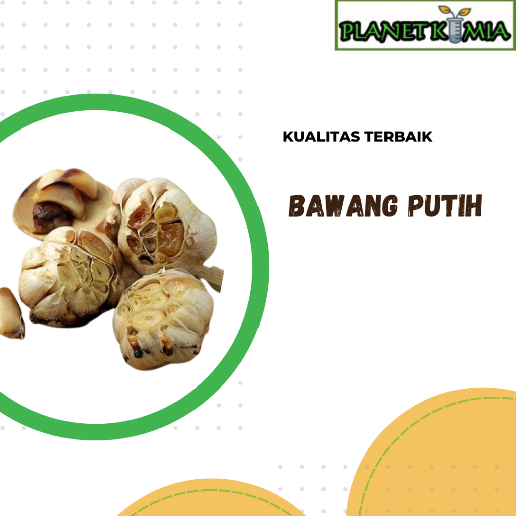 

ekstrak daging bawang putih best product