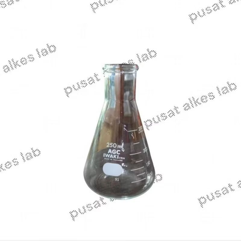 Labu Erlenmeyer Kaca 250ml - Iwaki