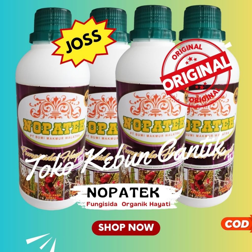 Fungisida Nopatek Obat Cabe Patek yang Paling Ampuh  Racun Cabai Busuk dan Keriting Kriting Daun Kun