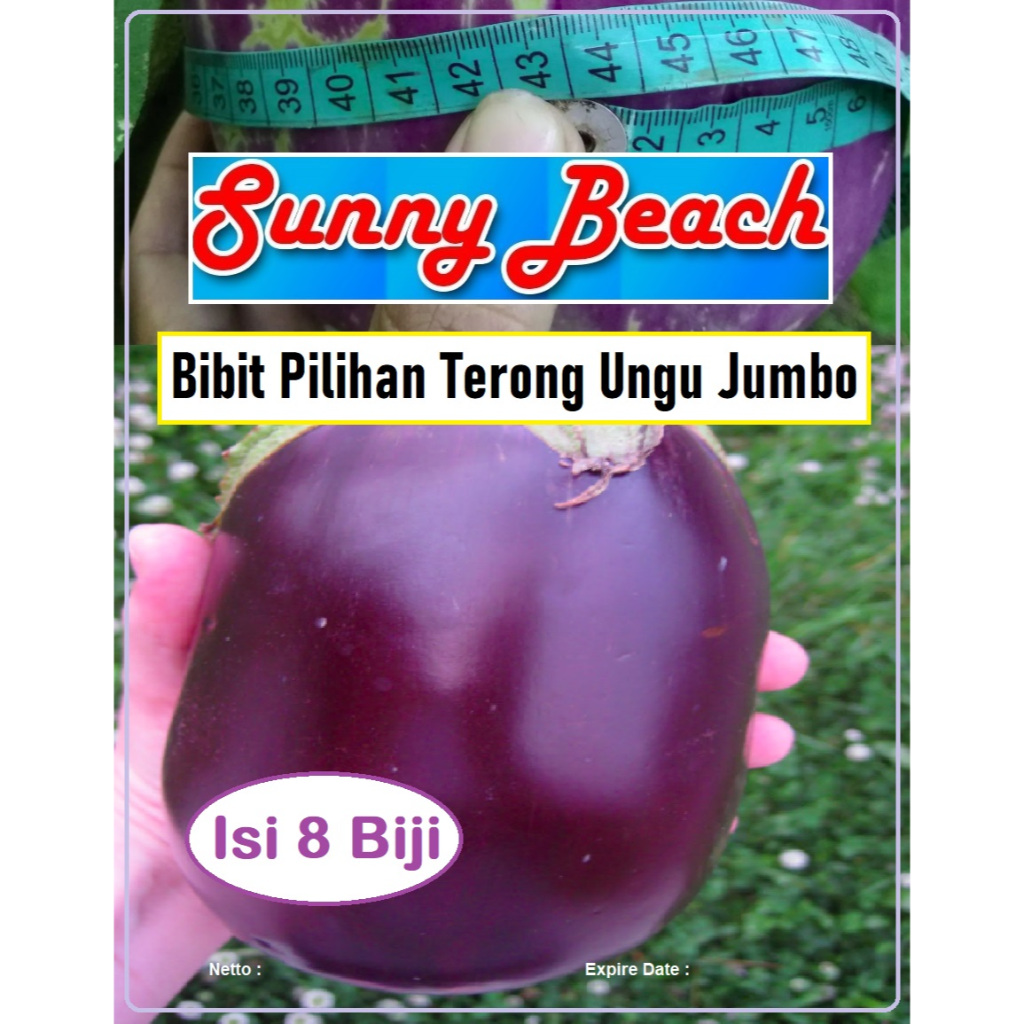 Bibit Pilihan Terong Ungu Jumbo | Biji Benih Terong Ungu Jumbo