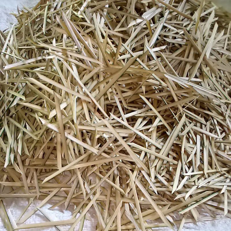 

[ 500g ] Biting Tempe Daun khusus Sematan Lancip dan Lentur