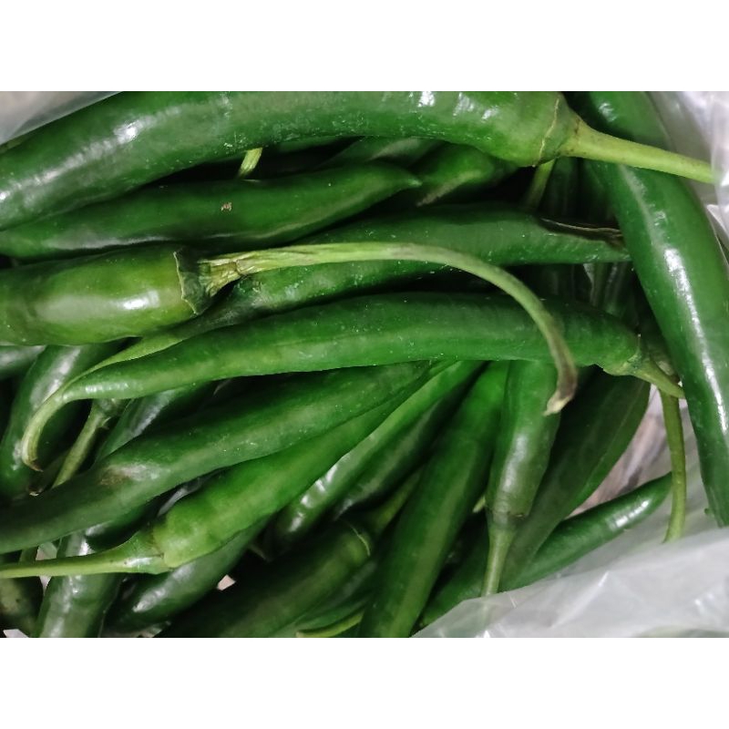 

INSTAN - CABE HIJAU BESAR 500GRAM