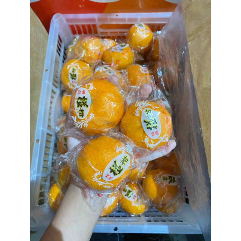

JERUK PONKAM FRESH