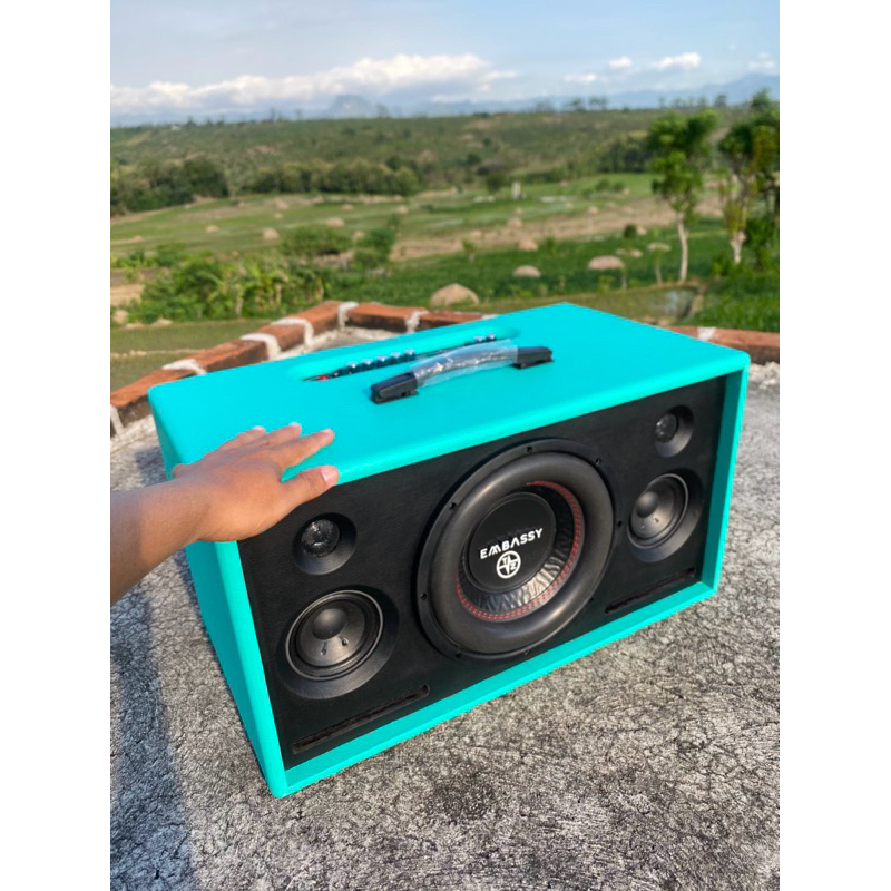 Speaker portable karaoke 10”