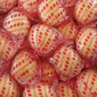 

INSTAN - LEMON IMPOR FRESH 1KG