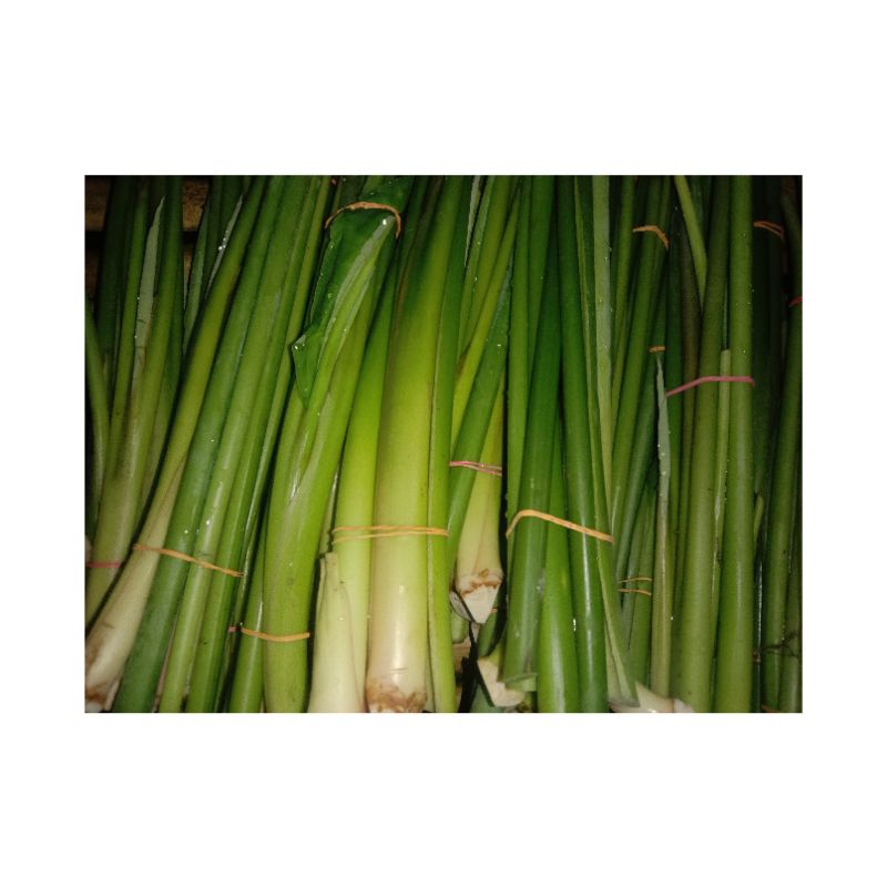 

sayur talas / lompong