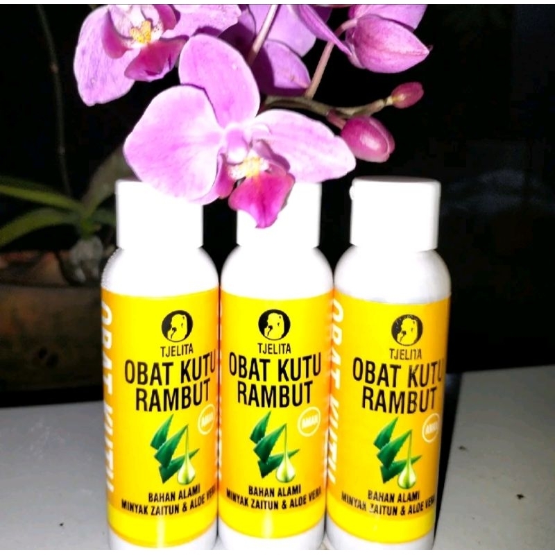 Tjelita obat kutu rambut manusia 100% ampuh warisan nenek moyang merk