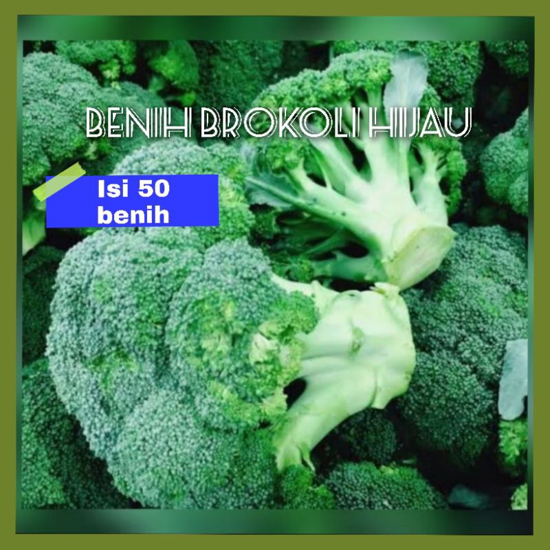 Benih Brokoli Hijau Unggul (50 benih)