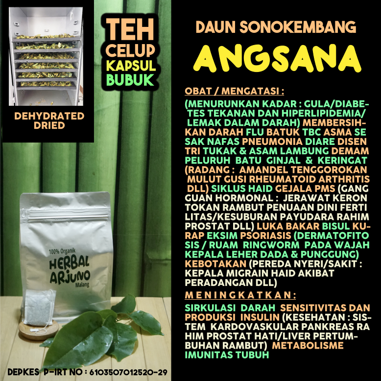 

Dehydrated Dried Teh Celup Kapsul Bubuk Daun Angsana Sonokembang Sona Obat Kebotakan Batu Ginjal Asma Sesak Nafas TBC Asam Lambung Gangguan Hormon Amandel Migrain Diabetes Kolesterol Pneumonia Disentri Radang Sendi PMS Rahim Prostat Herbal Alami