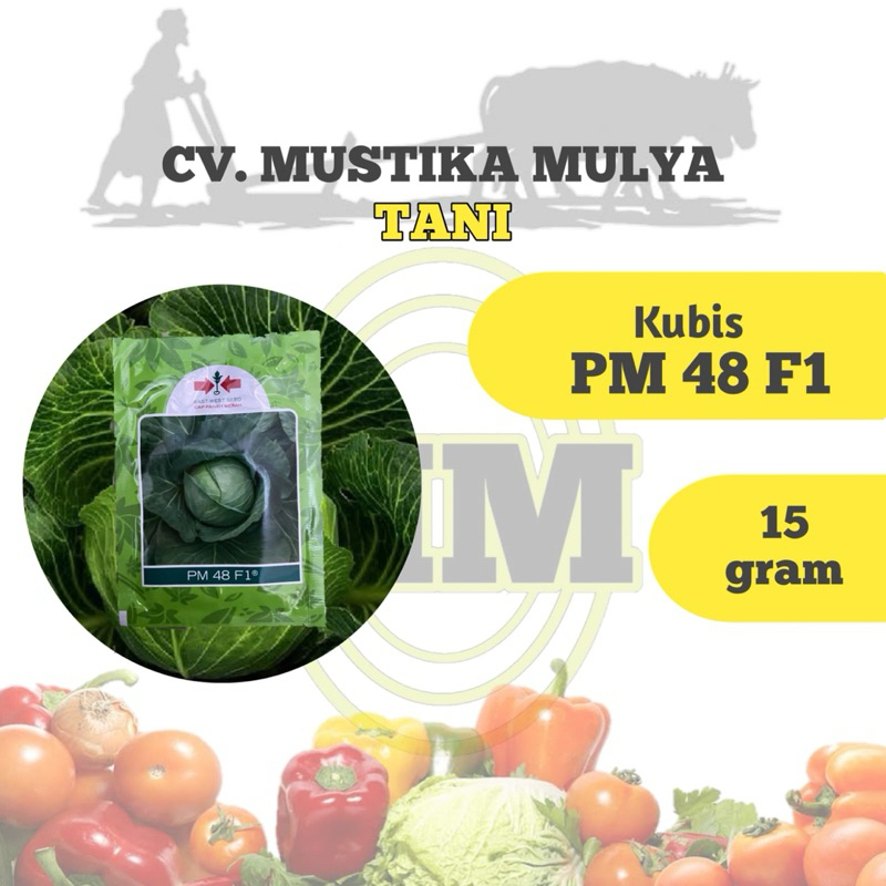BENIH KUBIS ( PM 48 F1 ) PANAH MERAH