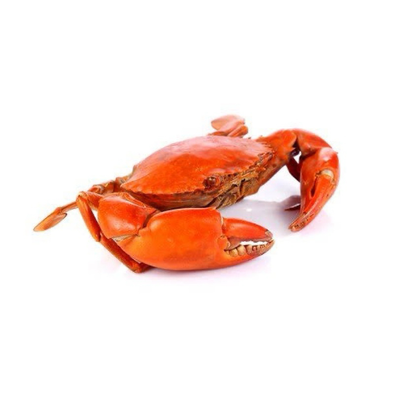 

Kepiting Rebus 1 ekor